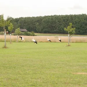  Vakantiehuis Haeusla